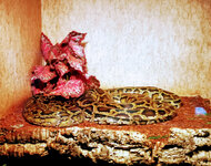 IMG-20201007-165605-3.jpg IMG-20201007-165605-3.jpg