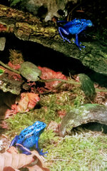 IMG-20201007-165703-2.jpg IMG-20201007-165703-2.jpg