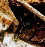 IMG-20201007-165804-2.jpg IMG-20201007-165804-2.jpg