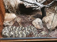 IMG-20201007-165827.jpg IMG-20201007-165827.jpg