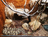 IMG-20201007-165831-2.jpg IMG-20201007-165831-2.jpg