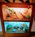 IMG-20201007-170004-2.jpg IMG-20201007-170004-2.jpg