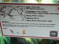 IMG-20201007-170148.jpg IMG-20201007-170148.jpg