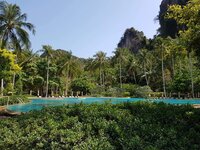 FB-IMG-1616602276220.jpg FB-IMG-1616602276220.jpg