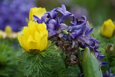 DSC05132.JPG