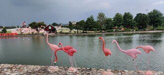 IMG_20210427_135140.jpg