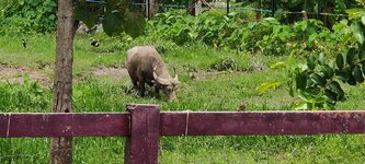IMG_20210427_130617.jpg