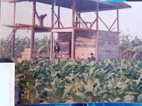 20210508_153529.jpg 20210508_153529.jpg