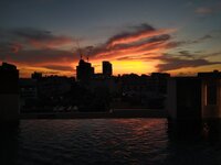 IMG_20210512_184444496.jpg