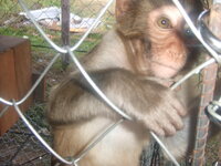 DSCF2122.JPG DSCF2122.JPG