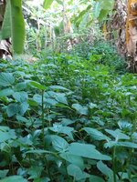 20210416_164627.jpg 20210416_164627.jpg