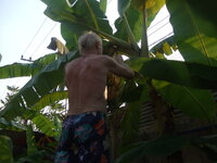 Picture 313.jpg Picture 313.jpg