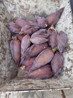 20210416_151201.jpg 20210416_151201.jpg