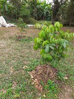 20210308_132539.jpg 20210308_132539.jpg