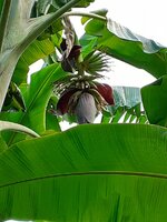 20210416_145857.jpg 20210416_145857.jpg