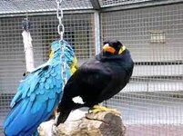 Download.jpg Download.jpg