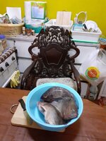 20210526_090343.jpg 20210526_090343.jpg