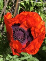 1692914C-857B-44B5-8A4B-C104A869AB10.jpeg