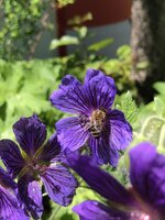DF92AE45-D293-4796-B0AE-D698401A806B.jpeg