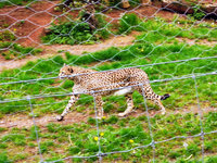 IMG-20210522-095500-2.jpg