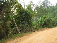 Laos-283.jpg