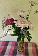 IMG_20210611_185713.jpg