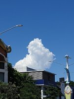 20210601_142029.jpg