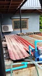 IMG-20210613-WA0005.jpg IMG-20210613-WA0005.jpg