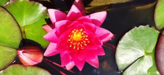 IMG_20210615_113901.jpg