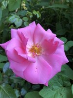 8F92C304-F1BC-4AAD-8479-400F611412DF.jpeg