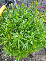 20210618_203724.jpg