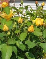 20210609_101922.jpg