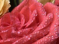 642D5C31-012D-4C94-A8FF-1AB5B891C811.jpeg