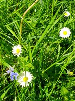 20210612_162712.jpg