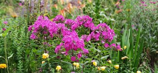 IMG_20210708_070519.jpg