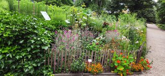 IMG_20210708_070423.jpg