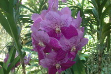 EPSN0721.JPG