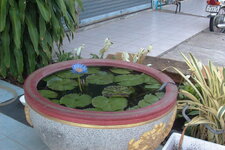EPSN0668.JPG