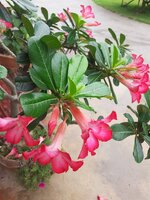 20210613_104914.jpg