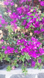 20210709_094118.jpg