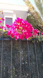 20210709_094047.jpg