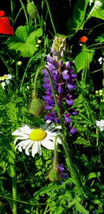 20210614_104912.jpg