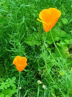 20210618_105109.jpg