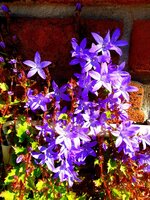 20210614_192706.jpg