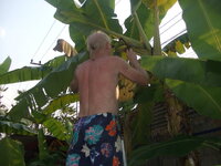 Picture 314.jpg Picture 314.jpg