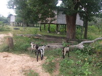 laos 380.jpg