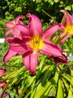 IMG_20210722_132020.jpg