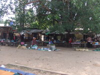 DSCF1264.JPG