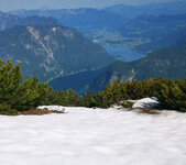IMG-20210608-095044-2.jpg