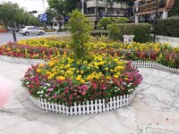 20210805_102914.jpg